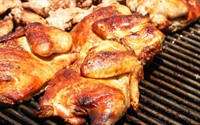 chicken kebab business opportunity - 1