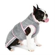 niche online dog apparel - 2