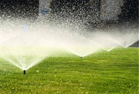 thriving irrigation pumps business - 3