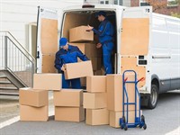 transport courier business coastal - 3