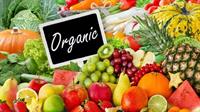 organic food store easy - 1