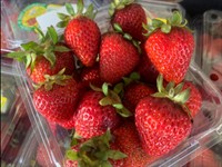 fruitful opportunity newly renovated - 3