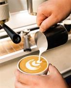 city hot spot coffee - 1