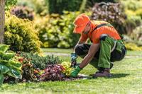 34528 profitable garden maintenance - 1