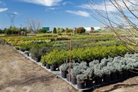 quality horticultural business vic - 3