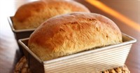 established bayside bakery 14 - 3