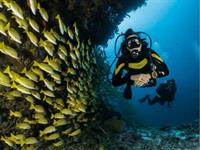 premium dive tourism business - 3