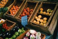 profitable fruit veggie wholesaler - 3