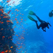 coming soon scuba diving - 2