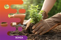 37266 established garden maintenance - 3