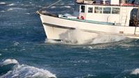 fishing charter boat business - 1