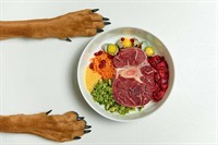 fresh pet food retail - 1