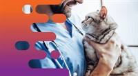 36686 profitable mobile veterinary - 2