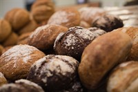 established wholesale bakery springvale - 1