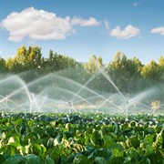 coming soon pump irrigation - 2