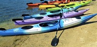australis canoes an iconic - 1