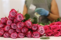 long-established florist gift store - 3