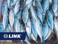 profitable commercial fishing business - 1