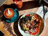 the shed cafe tamworth - 2