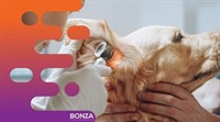 36686 profitable mobile veterinary - 3