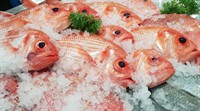 fresh seafood business profitable - 1