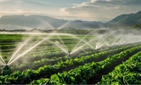 thriving irrigation pumps business - 1