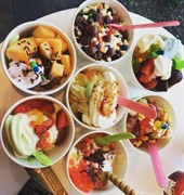 frozen yogurt franchise established - 1