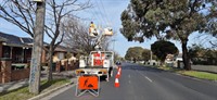 vegetation maintenance municipal contractor - 3