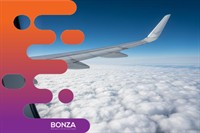 37008 established online travel - 2