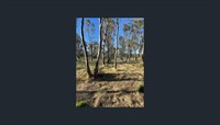thirty-two acres of land - 3