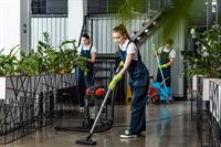 34083 home-based cleaning business - 3