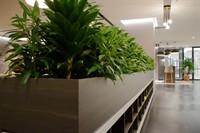 high-margin plant service business - 2