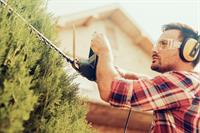 20264 hedge trimming business - 1