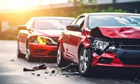 established panel repair business - 2