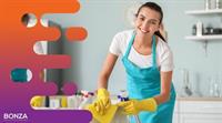 34666 profitable cleaning business - 1