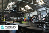 established gym for sale - 1