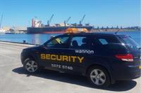 wannon security services - 1