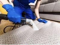highly successful carpet cleaning - 2