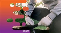 36714 established synthetic grass - 3
