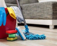 established cleaning business excellent - 1
