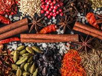 licensed indian restaurant dinner-only - 3