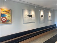 versatile hospitality venue mornington - 3