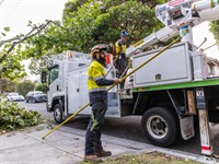vegetation maintenance municipal contractor - 1