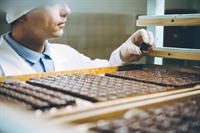 34363 profitable confectionery manufacturer - 2