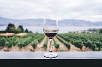 established winery vineyard business - 1
