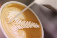 well presented cafe nothing - 1