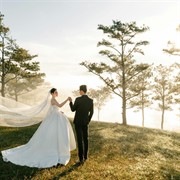 coming soon established wedding - 2