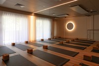 independent movement wellness studio - 3