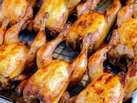 dominant regional poultry distributor - 2