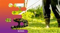 36015 established profitable lawn - 1